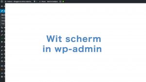 Read more about the article Wit scherm – geen toegang tot wp-admin na update